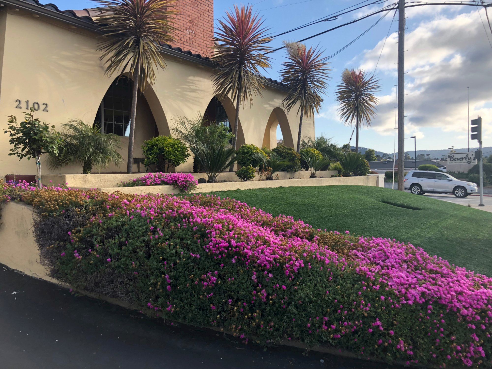 A low, curved beige building with tall arched windows, palm trees, pink flowering bushes along a manicured lawn, and a street with a car in the background.