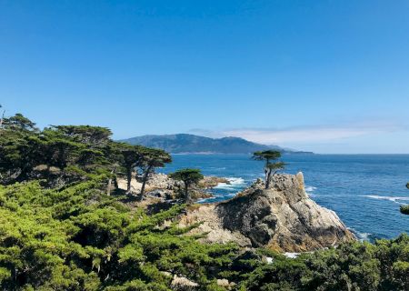 Cliffside coastline with rugged rocks, pine trees, and a calm blue sea under a clear sky.